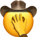 :facepalmcowboy: